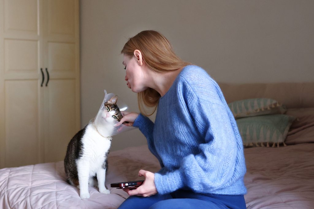 Frau beruhigt eine Katze in vertrauter Wohnumgebung