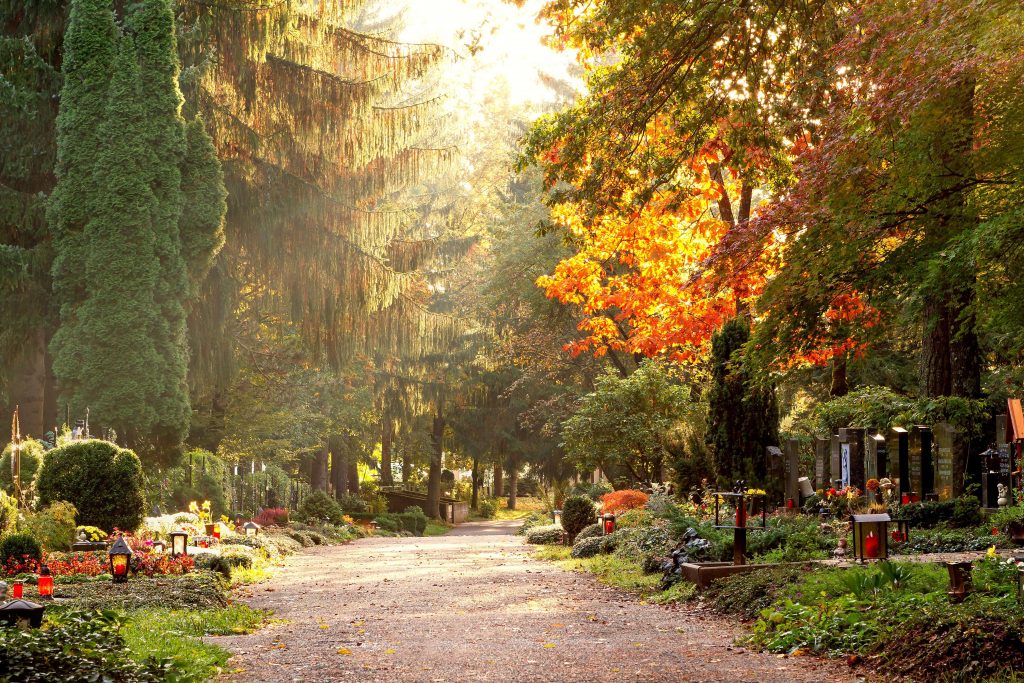 Tierfriedhof mit gepflegten Gräbern und Bäumen als Möglichkeit der Tierbestattung