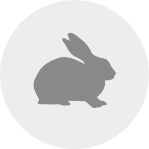Kanínur