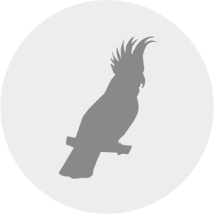 Smáfuglar