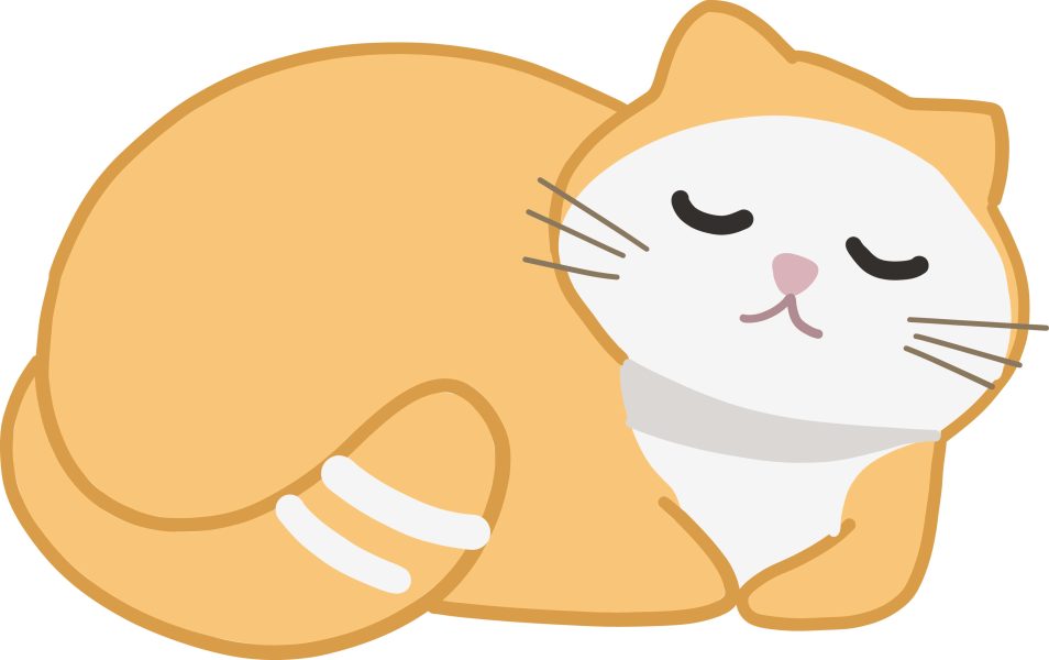 Meine Katze sabbert was steckt dahinter? Cat’s Best