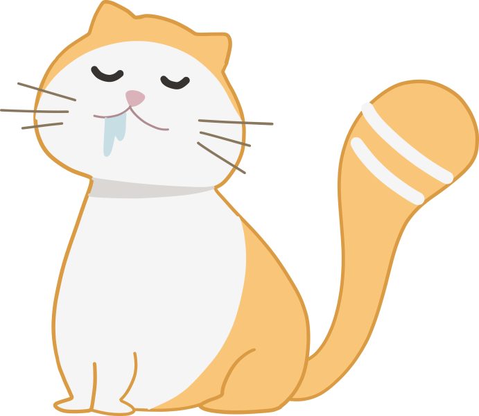 Meine Katze sabbert was steckt dahinter? Cat’s Best