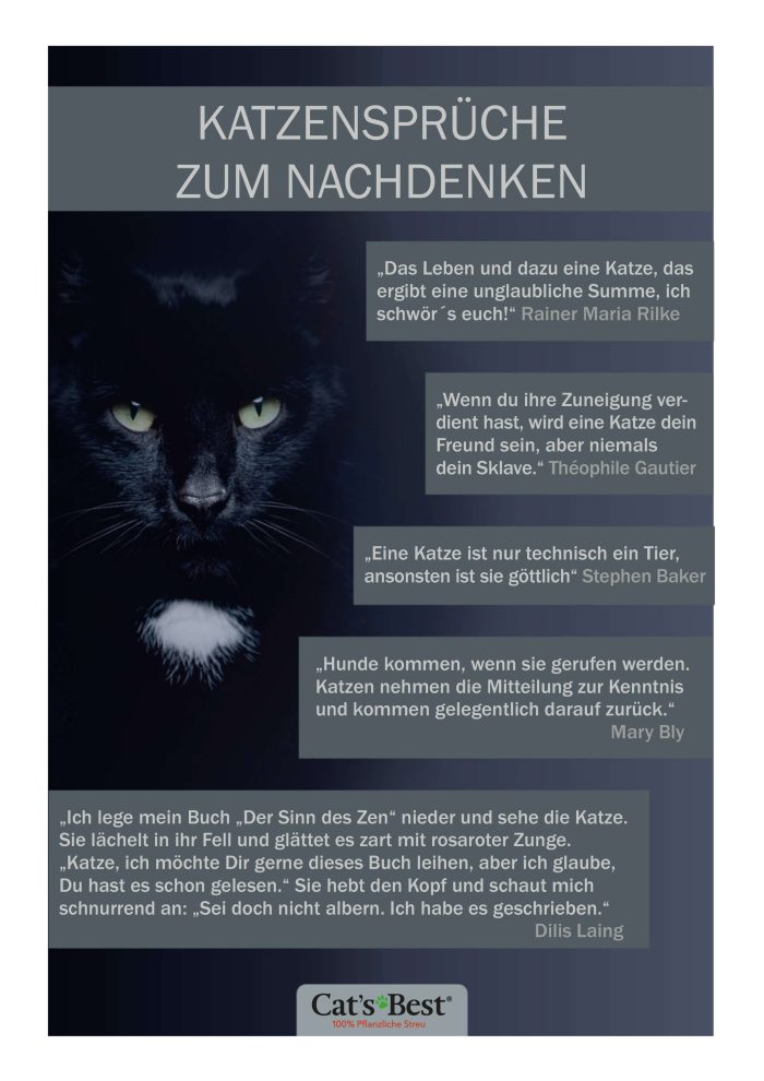 Die besten Katzensprüche Cat’s Best