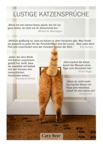 Die besten Katzensprüche Cat’s Best