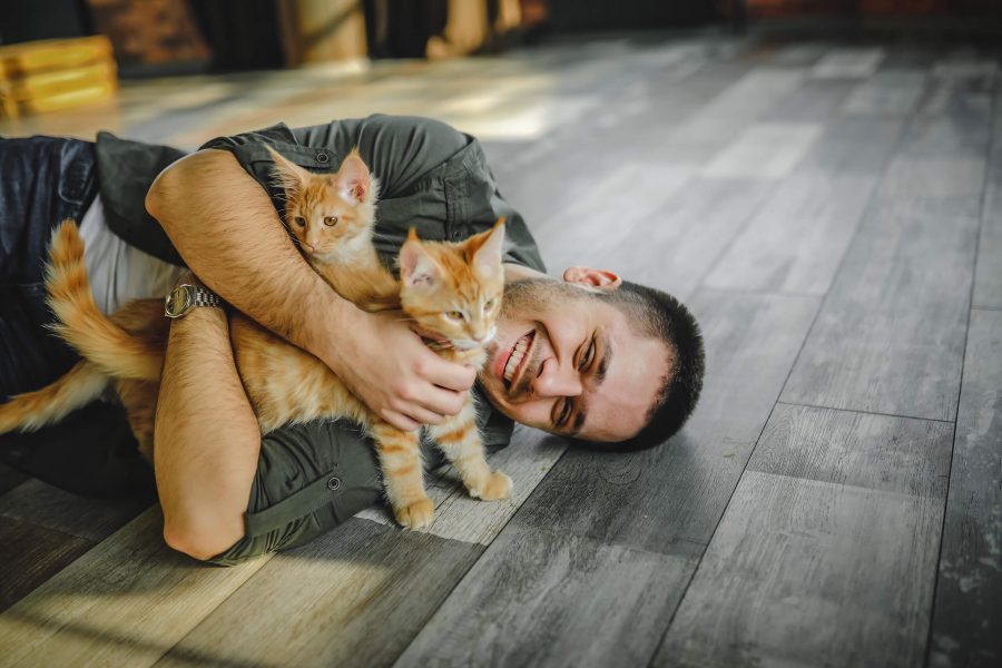 Katze oder Kater Cat’s Best