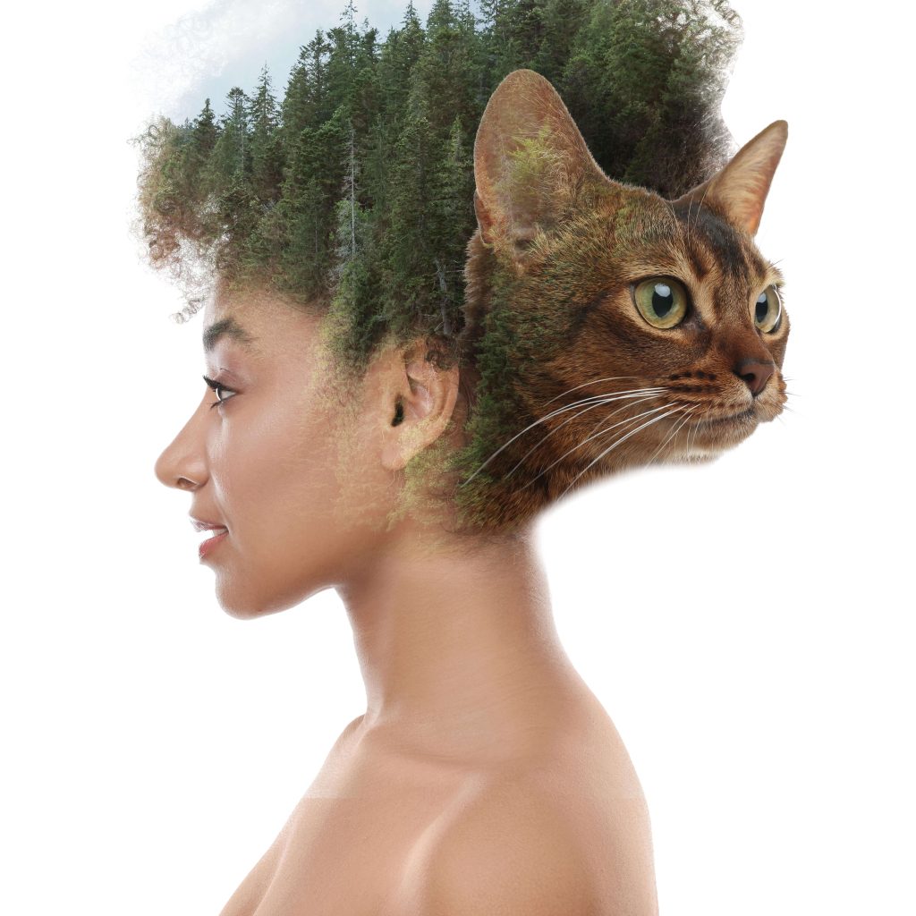 Profil einer Frau, überlagert mit einem Wald und dem Kopf einer getigerten Katze.
