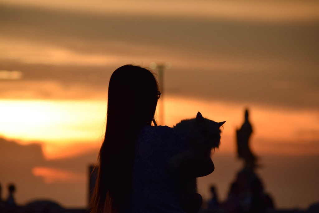 Silhouette einer Frau mit Katze vor einem orangefarbenen Sonnenuntergang.