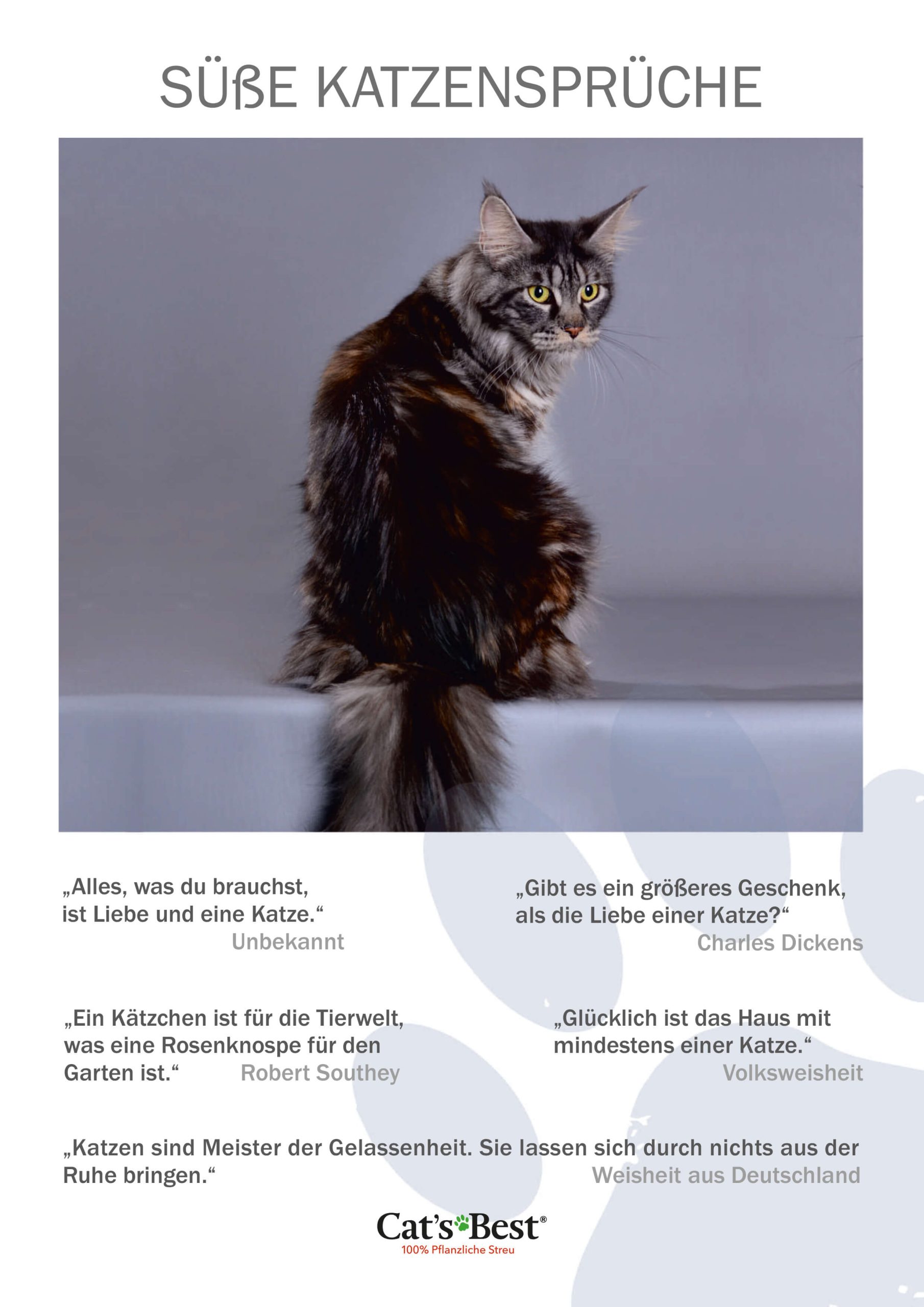 Die besten Katzensprüche Cat’s Best