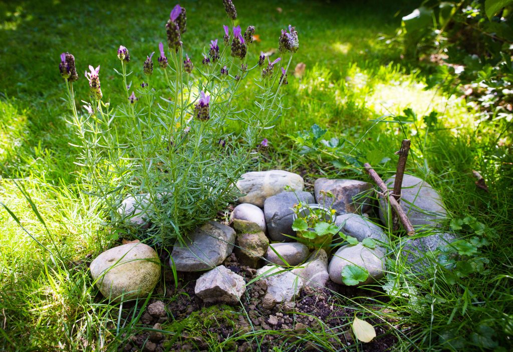 Kleiner Gedenkplatz im Garten mit Steinen und Pflanzen für eine verstorbene Katze