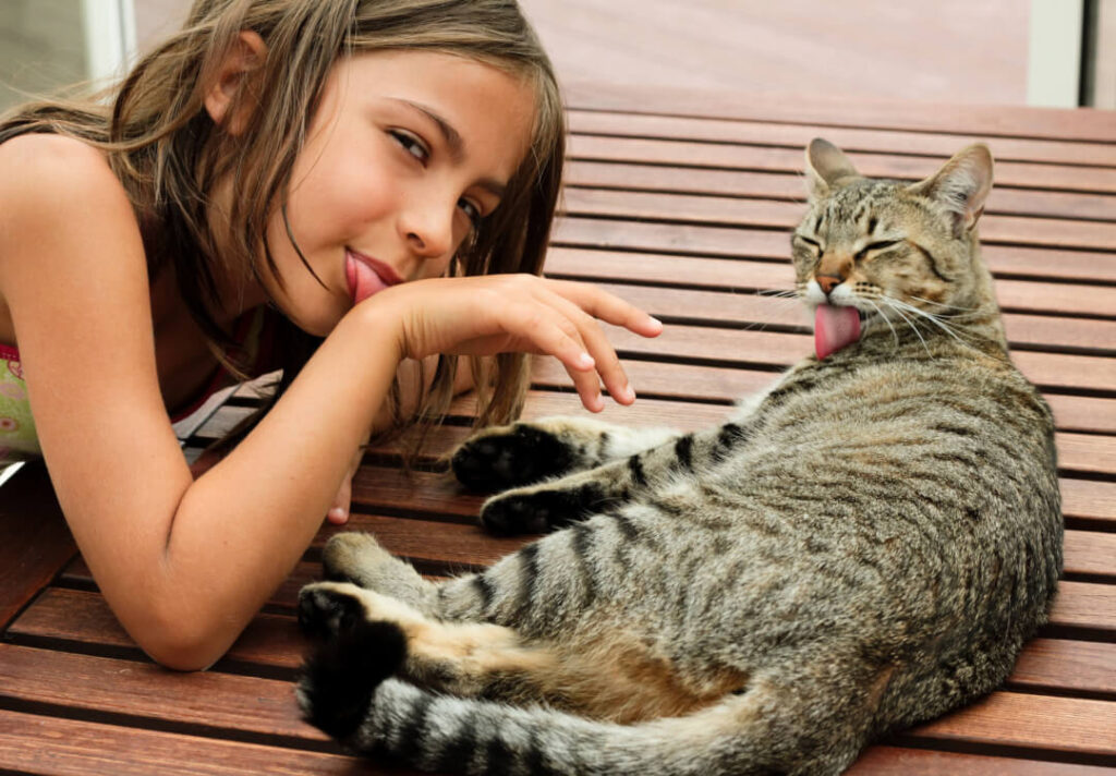 Wie viel Hitze vertragen Katzen? Cat’s Best