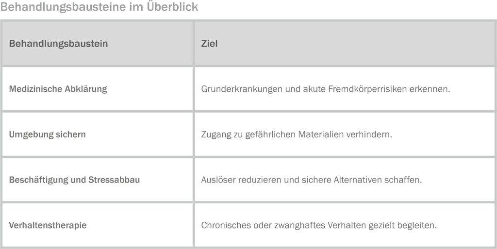 Tabelle mit Behandlungsbausteinen beim Pica-Syndrom bei Katzen: medizinische Abklärung, sicheres Zuhause, Beschäftigung, Stressabbau und Verhaltenstherapie.